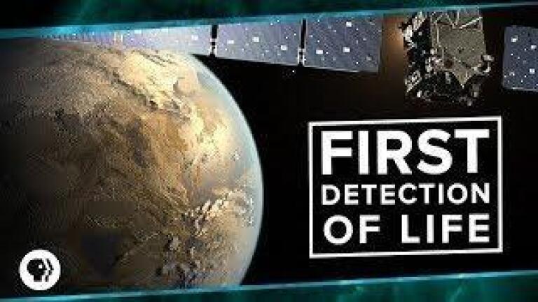 First Detection of Life