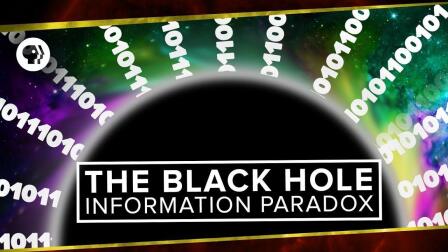 Have We SolvedThe Black Hole Information Paradox