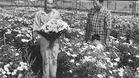 Descanso Gardens: Japanese Internment Camellias