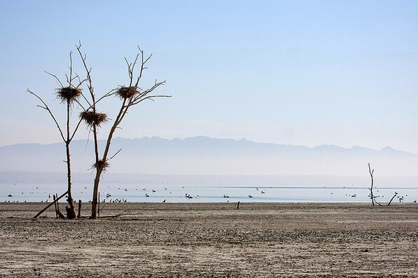 The Salton Sea, possibly doomed | Creative Commons photo by Seabamirum