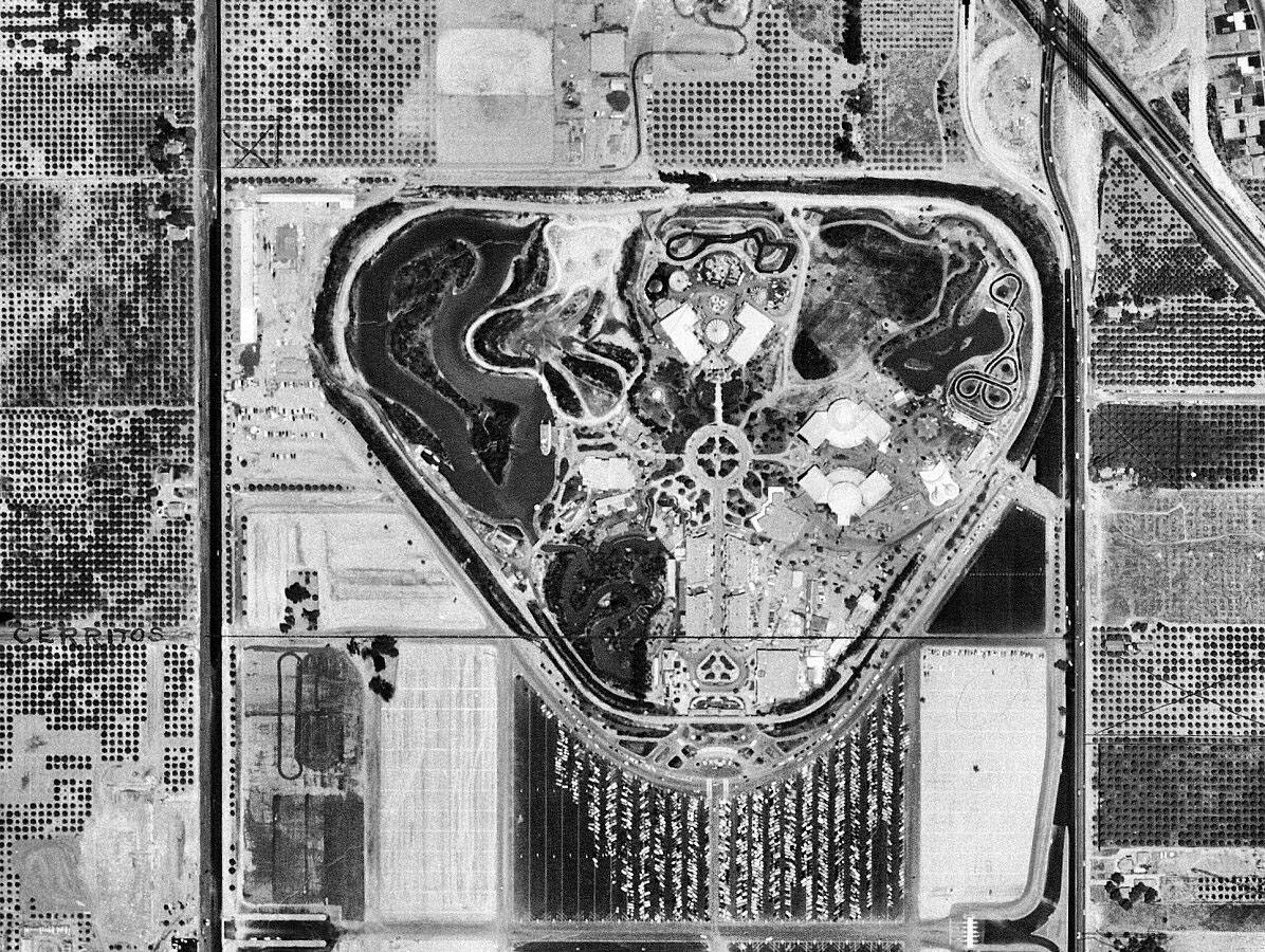 Aerial view of Disneyland surrounded by orange groves in 1955. Courtesy of the Orange County Archives.