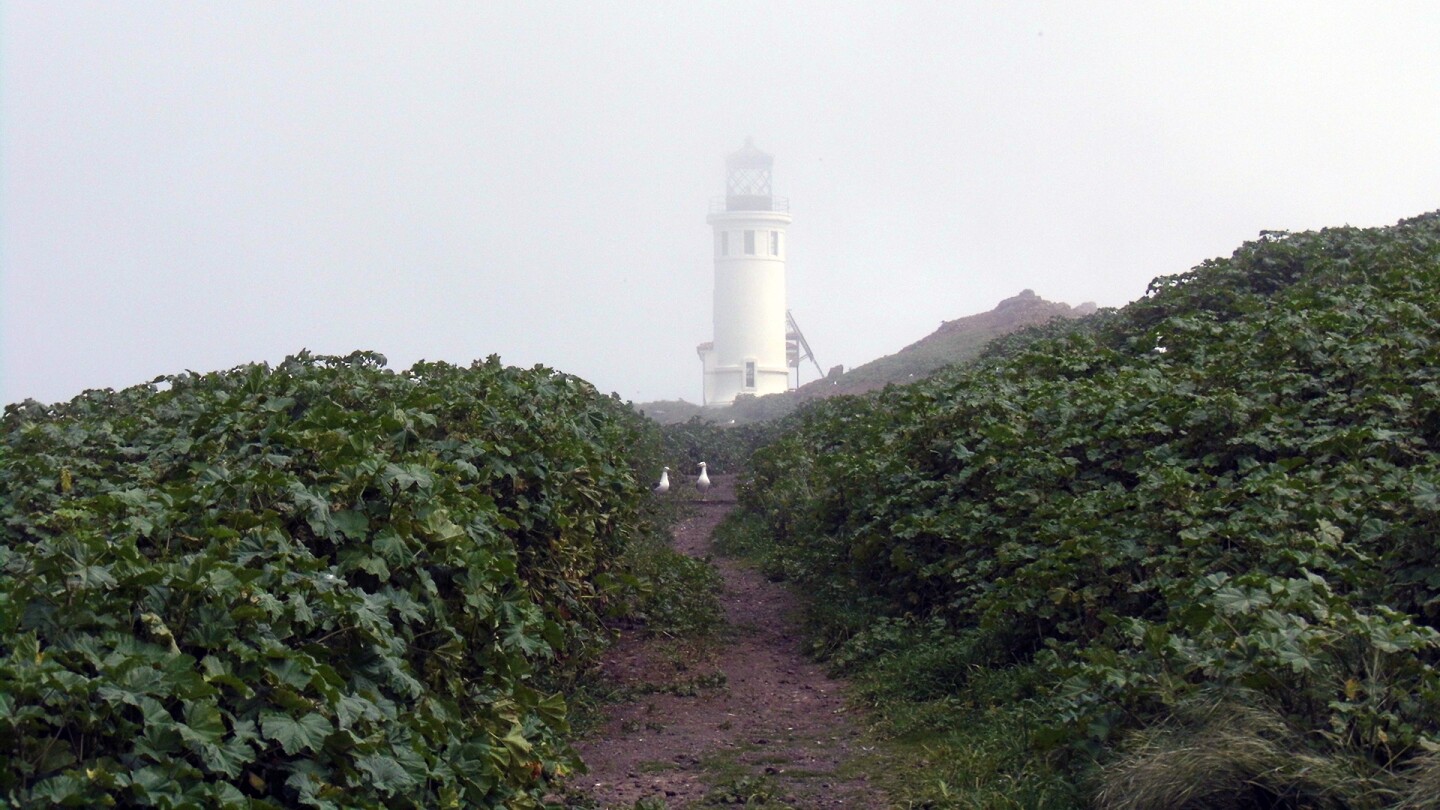 Anacapa Island Light Station