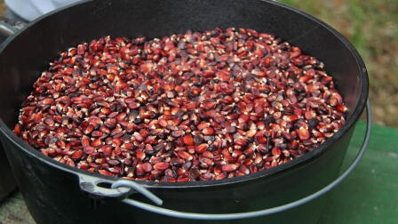 Seeds