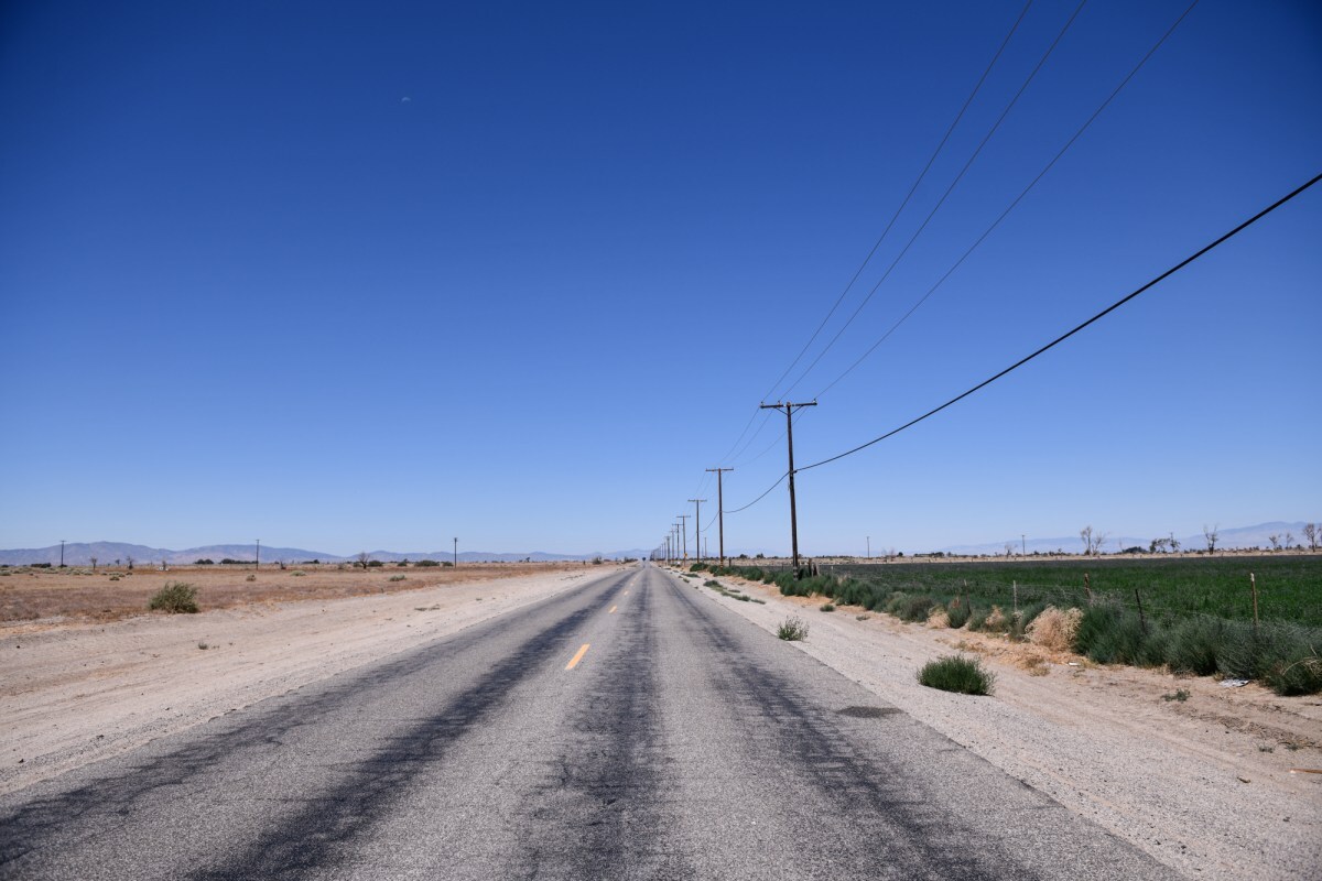 A field fallowed due to drought conditions in Lancaster is across a road from an alfalfa field.