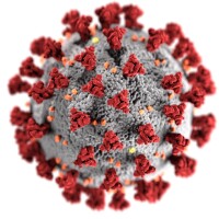 Coronavirus COVID-19 Illustration | CDC