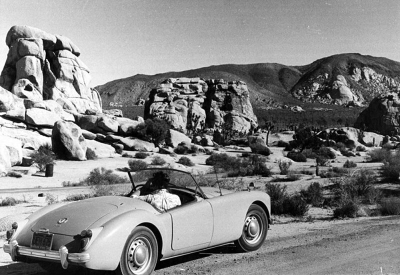 Touring Joshua Tree by car, 1961 | Valley Times Collection/Los Angeles Public Library