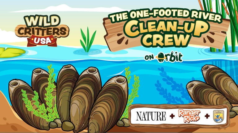 Meet Nature's Water Cleaners | Wild Critters USA