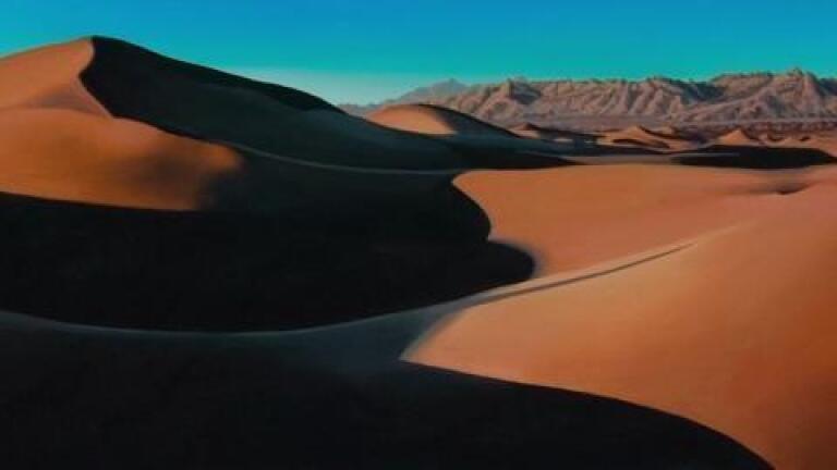 Getting Lost in the Arid Expanse with Diane Best
