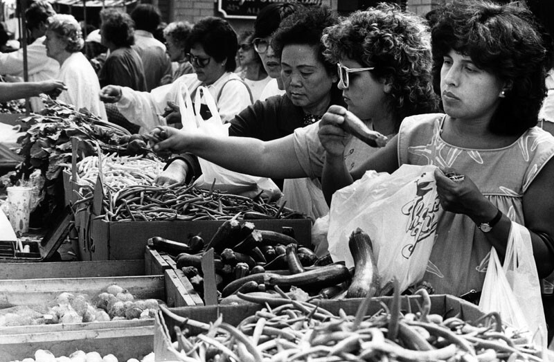 veggies1981
