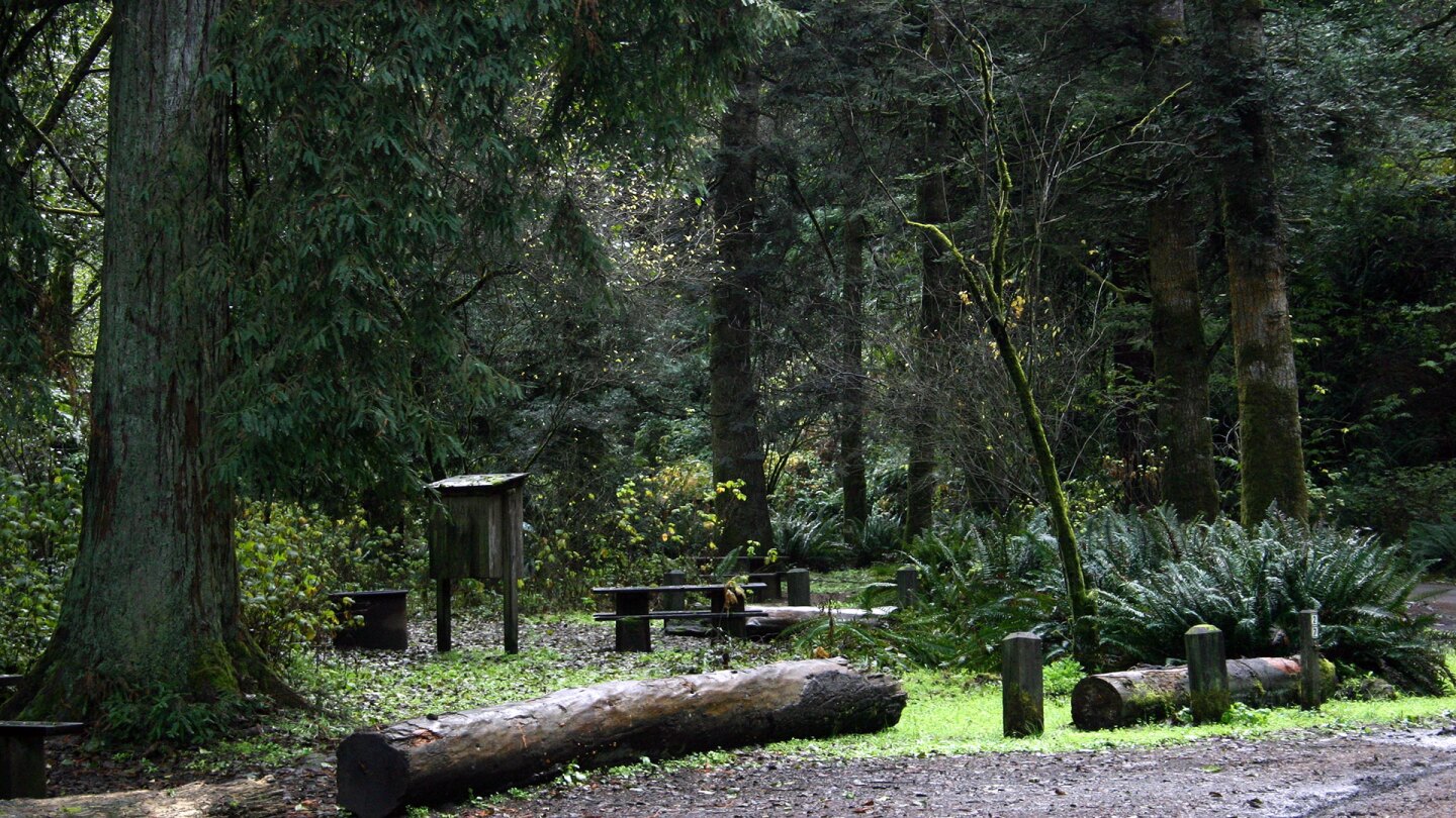 van damme state park