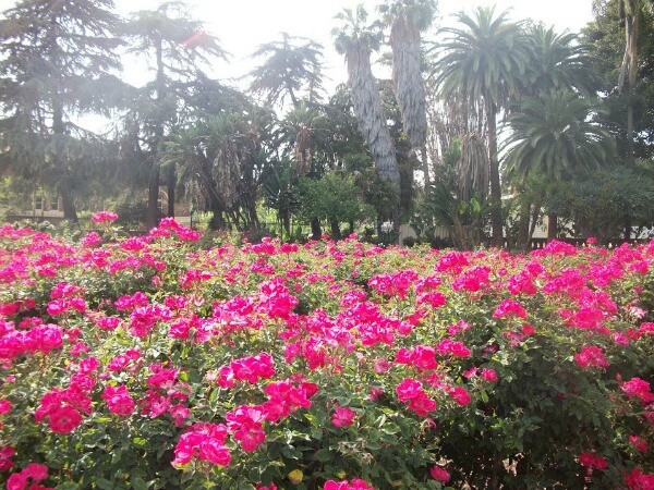 expogarden1