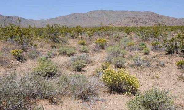 Granite-horsebush-val-thumb-600x360-57009