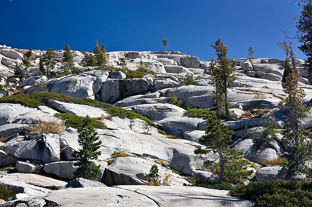 what-is-wilderness