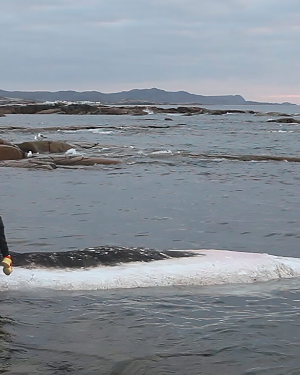 On a walk in Newfoundland, artist Patty Chang found a dead sperm whale washed up on the shore and decided to wash it as a form of purifying the body to prepare it for the next stage. The scene became part of her 2016 work, “Invocation of a Wandering Lake.