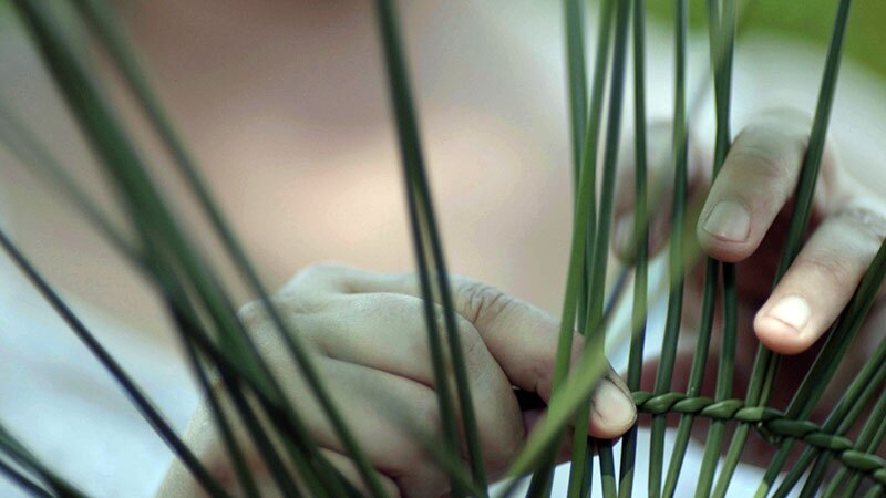 juncus-fingers-11-2-16.jpg