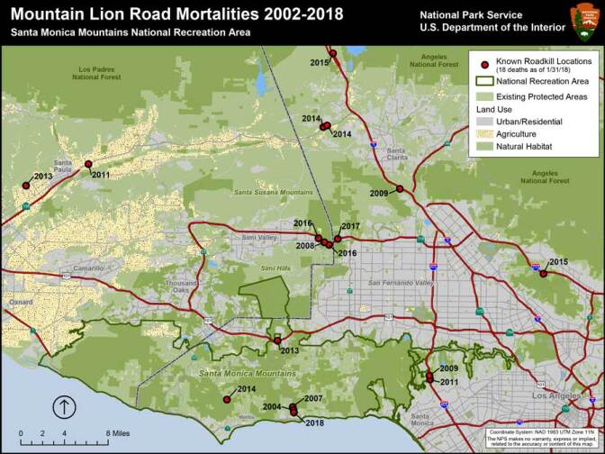As of January 2018, the National Park Service had documented a total of 18 mountain lions struck and killed by vehicles since 2002. | National Park Service/Flickr