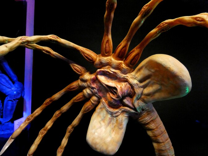 The facehugger sculpture is on display. The sculpture is hyper realistic. The creature resembles a human pelvis and spine with some sort of orifice over the pelvis. Spider-like legs radiate from the pelvis as well.