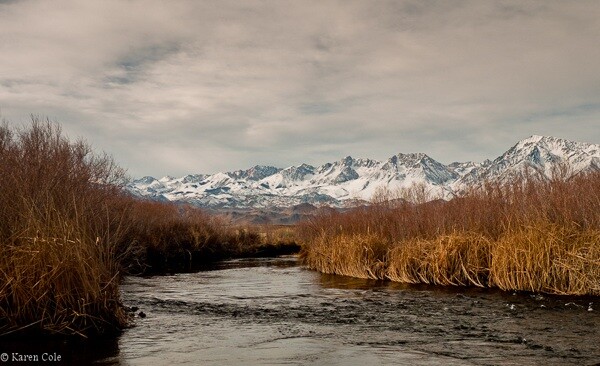 lower-owens-river-plan