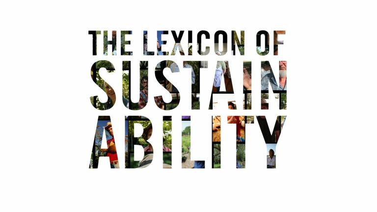 What Is The Lexicon of Sustainability?
