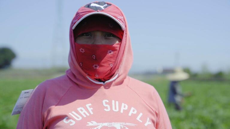 Farm Workers