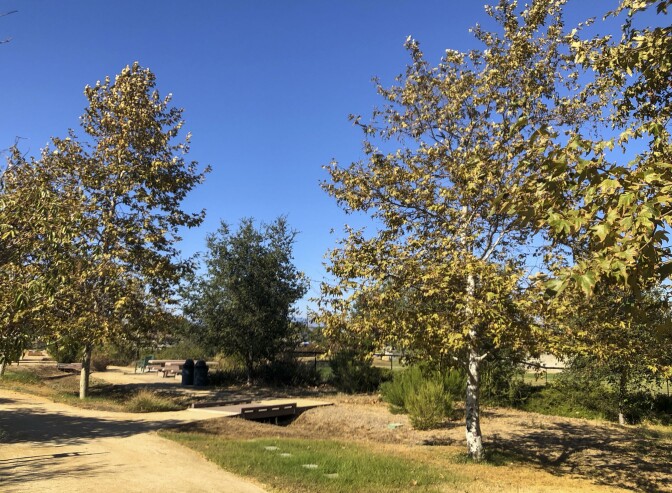 A landscape photo of Compton Creek Natural Park. A dirt path leads to a small, footbridge. Trees dot the landscape and a bright blue sky stretches above.