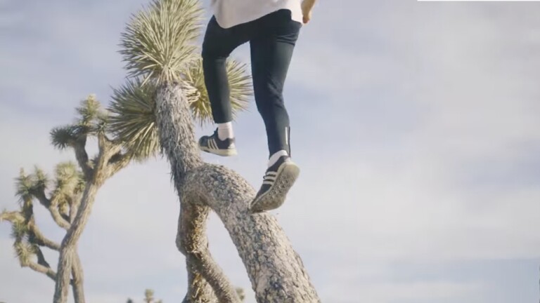 Parkour team member runs up Joshua tree trunk | Image: Storror