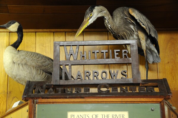 The Nature Center was founded in 1939 by the Audubon Society and is currently owned and managed by the Los Angeles County Department of Parks and Recreation | Photo: Carribean Fragoza