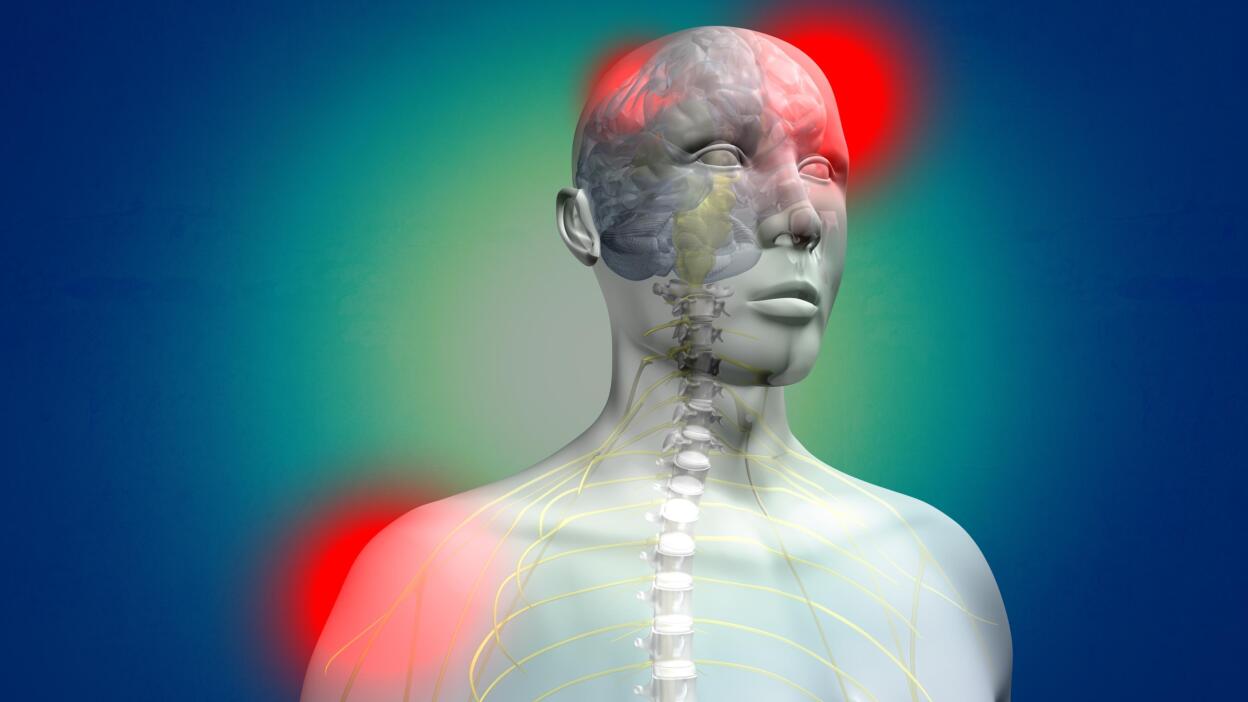 Pain Secrets: The Science of Everyday Pain