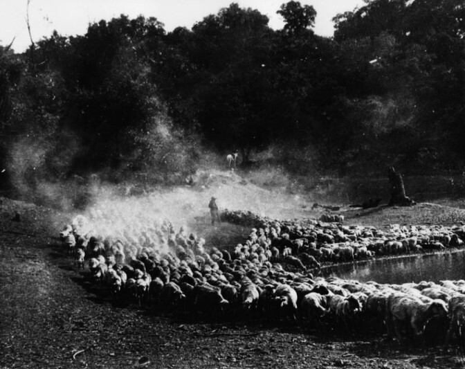 Garvanza Early Northeast Los Angeles Departures KCET