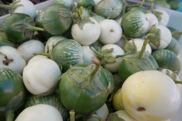 eggplants