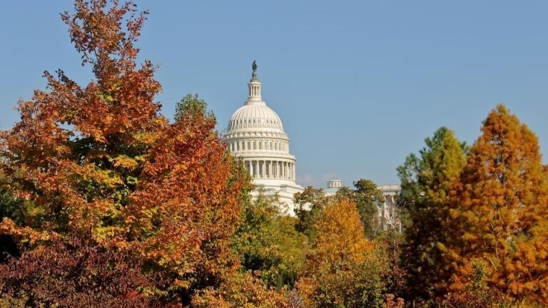 FULL EPISODE: Looking ahead to the 116th Congress