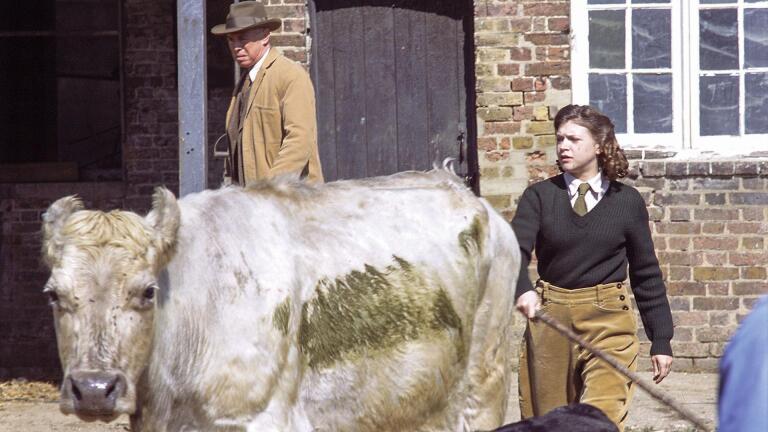 They Fought in the Fields