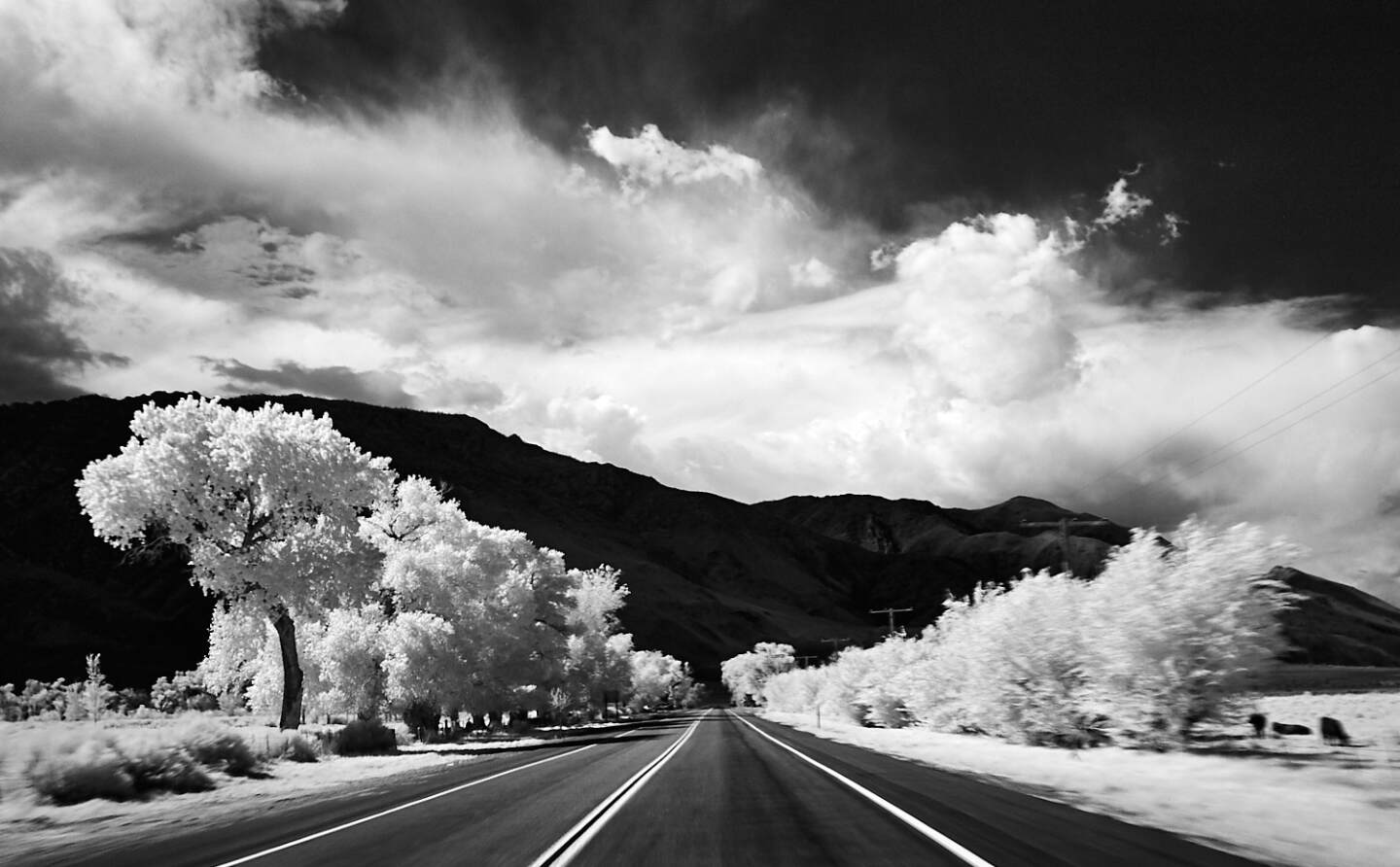 A black and white image of a highway lined by trees with the mountains in the background.