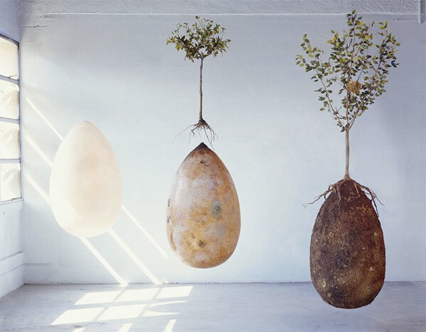 Photo by <a href="http://www.capsulamundi.it/progetto_eng.html">Capsula Mundi</a>