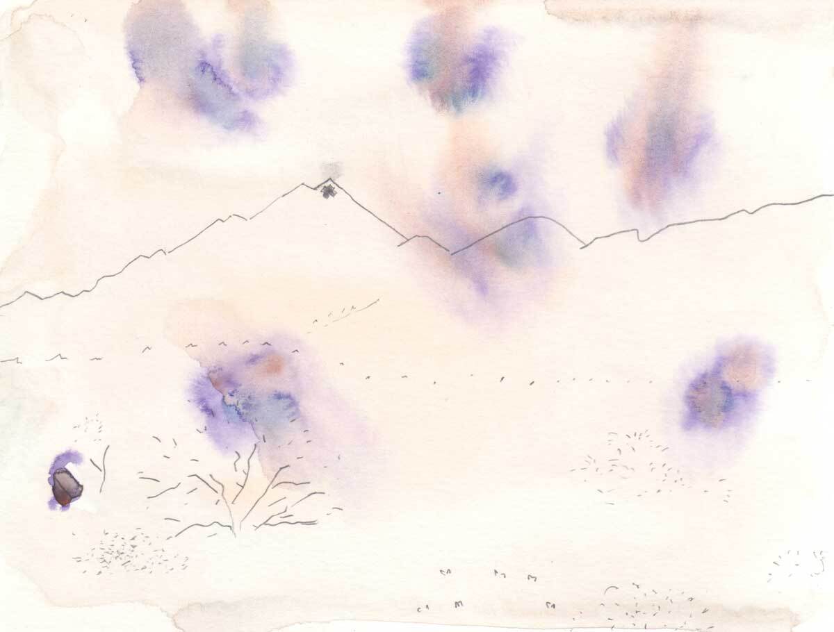 Hillary Mushkin's artwork with purple blooms of color at the Cleghorn Wilderness site for "Three Border Ecologies" | Courtesy of Hillary Mushkin