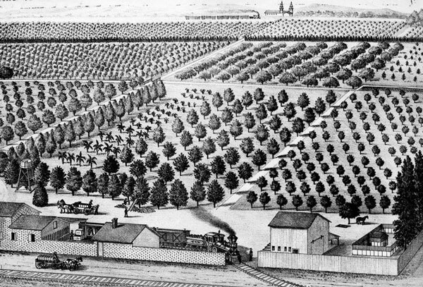 The Southern Pacific built its Arcade Station on the Wolfskill ranch, where William Wolfskill pioneered the growing of oranges in Los Angeles. Courtesy of the Photo Collection, Los Angeles Public Library.