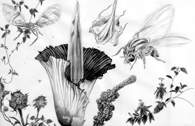 Nick Taggart's works on paper | Courtesy of the artist