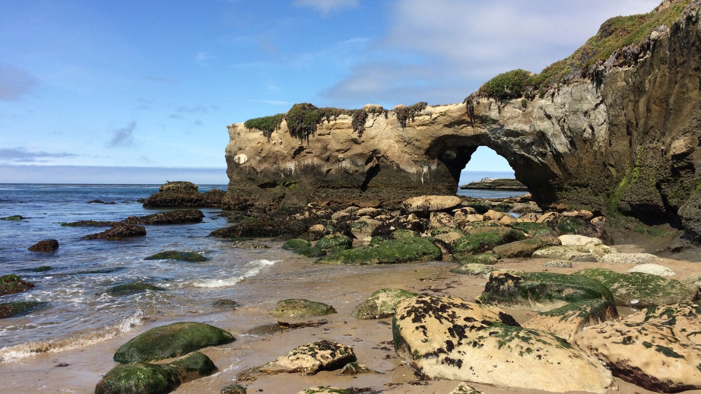 arch steamer lane