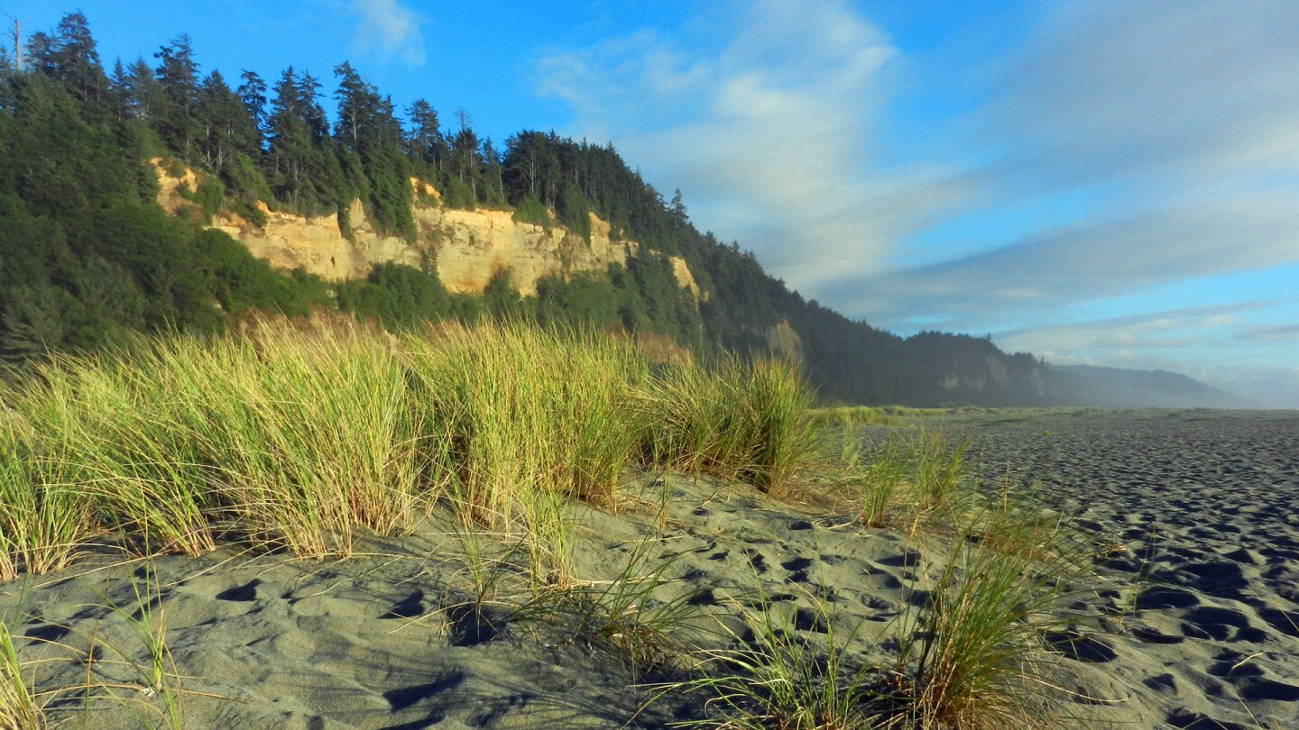 gold bluffs beach