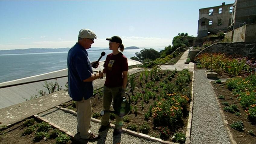 Alcatraz Gardens
