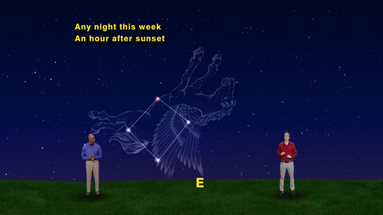 “The Stars of Pegasus” Aug 28th-Sept 3rd 1 Min