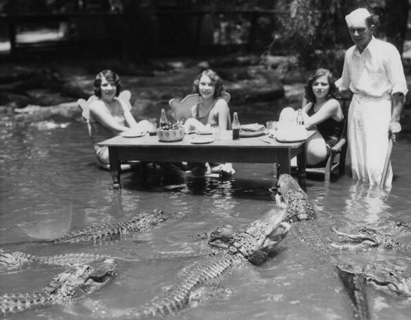 Women dine in a pond filled with alligators at the California Alligator Farm. Courtesy of the Los Angeles Public Library Photograph Collection.