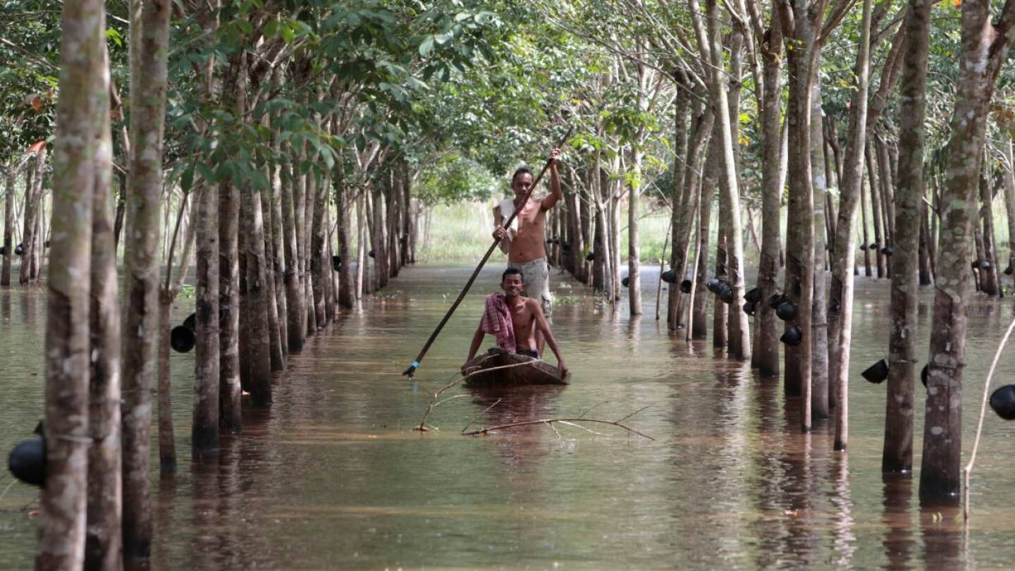 ARCHIVE PHOTO: Phon Tongmak, a rubber tree farmer (back), rows a boat in floodwaters in his rubber plantation with his friend at Cha-uat district in Nakhon Si Thammarat Province, southern Thailand, January 18, 2017. Picture taken January 18, 2017. REUTERS