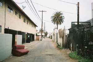alleyphoto2body.jpg