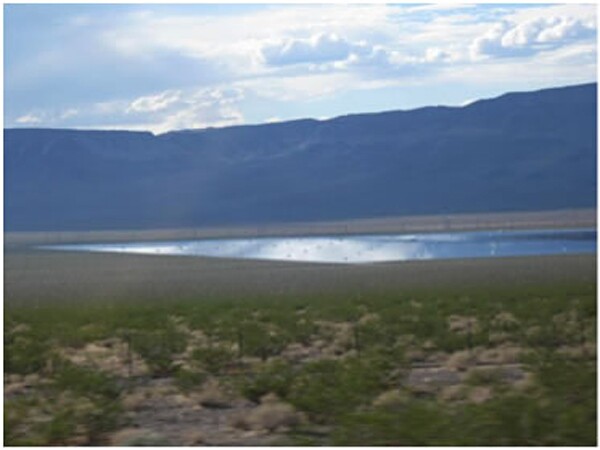 Polarized-glare-pv-thumb-600x450-55142