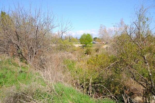 lariver-exc-sepulveda08