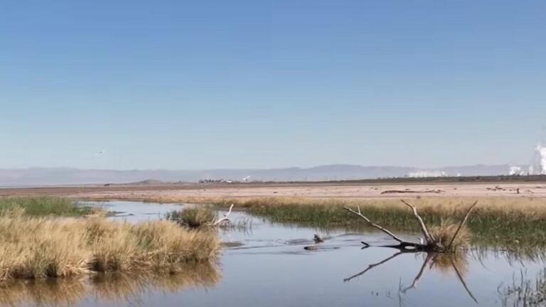 The Link Between the Salton Sea's Odor and Its Health Risks