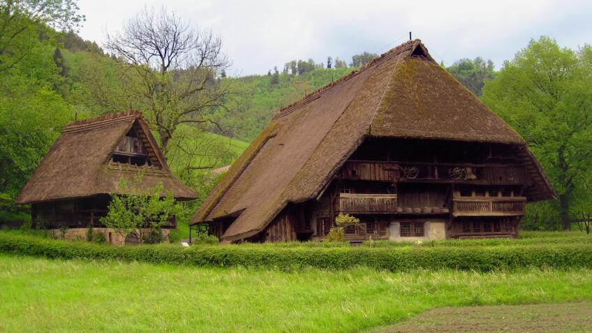 Germany's Black Forest and Cologne