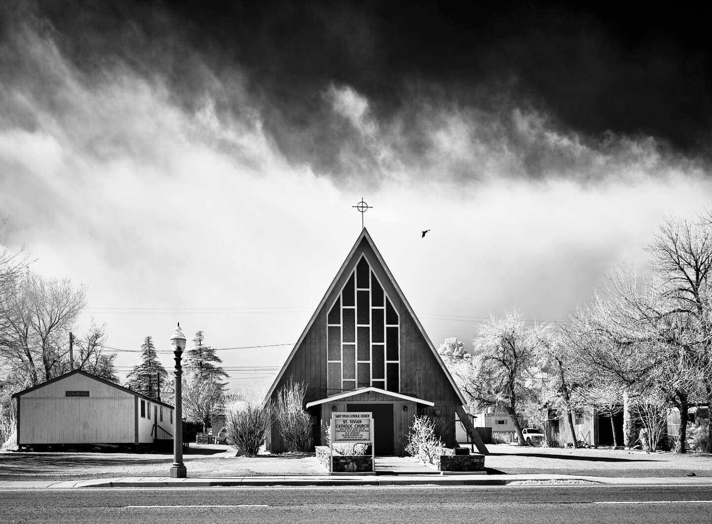 Church Raven – Independence, California – 2021