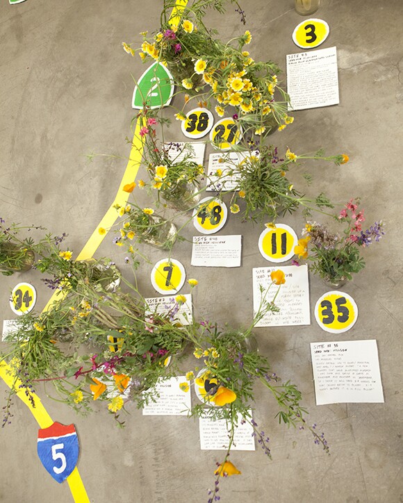 Fritz Haeg, "Wildflowering L.A.," 2013-2014. A LAND (Los Angeles Nomadic Division) Exhibition. Image courtesy of Isabel Avila